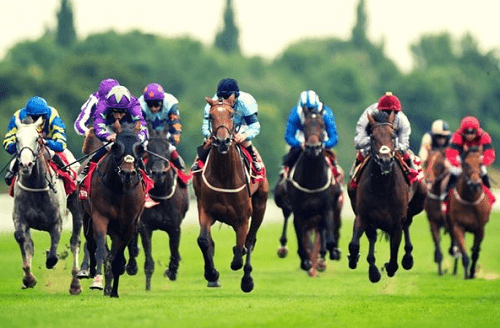 Horse racing betting strategies